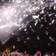 Efectos especiales con cañones de confeti para espectáculos y conciertos. BIEFEC FX Efectos Especiales.