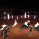 Novedades BIEFEC FX Efectos Especiales: Synchro FX Show Tronos.