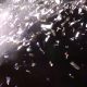 Grandes eventos, conciertos y giras con toneladas de confeti y BIEFEC FX Efectos Especiales
