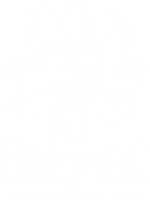 biefec-logo